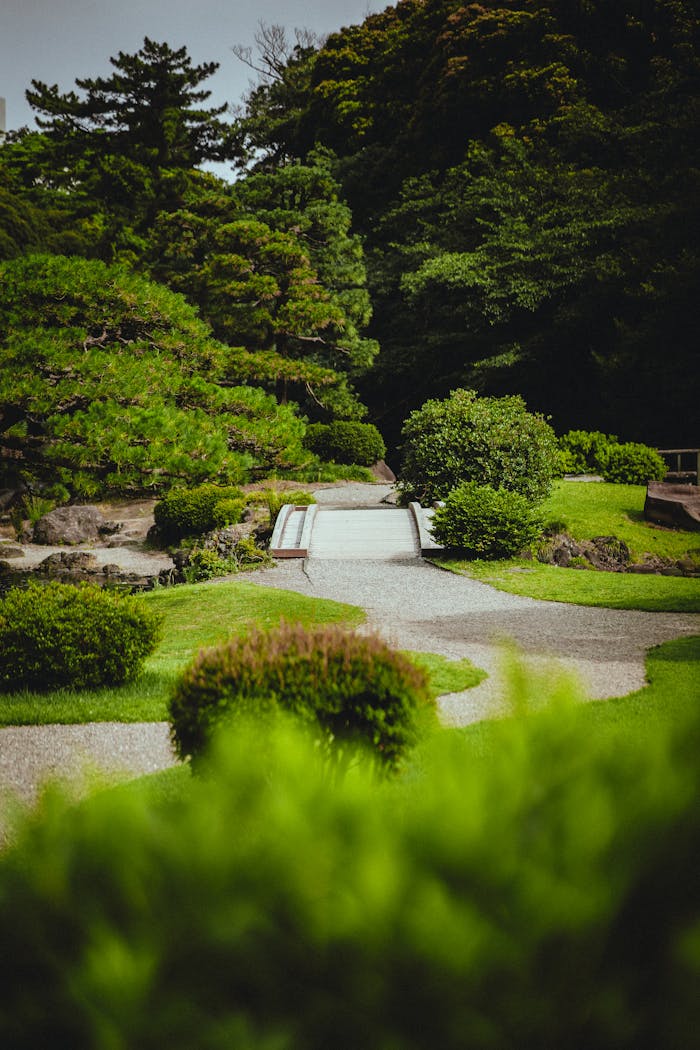 Tranquil garden path surrounded by lush green foliage in a Tokyo park, perfect for relaxation.