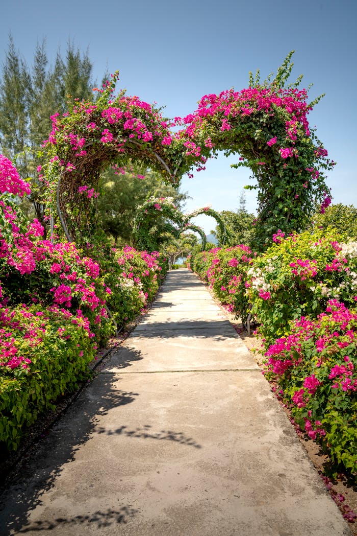 A vibrant pathway adorned with pink and green floral archways in a lush garden setting.